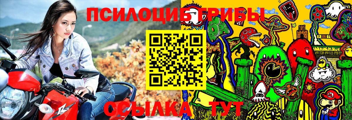 Протвино  Псилоцибиновые грибы мухоморы  продажа наркотиков  Вход с VPN 
